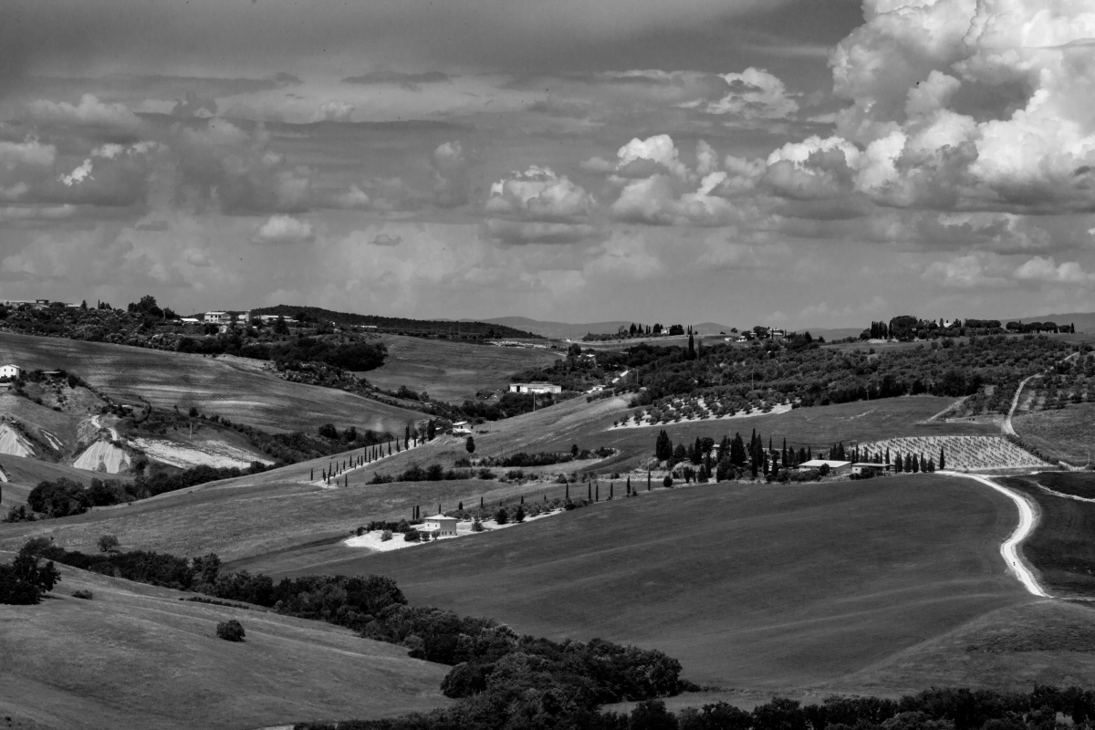 10-IMG_6809-bn-JPG.jpg