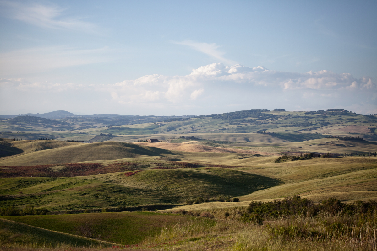 4-IMG_7099-col-JPG.jpg