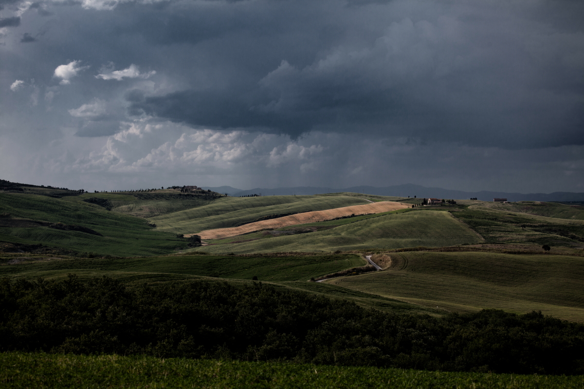 7-IMG_6836-col-JPG.jpg