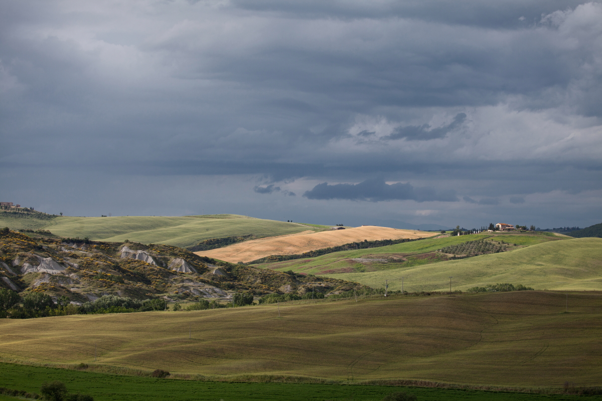 7-IMG_6839-col-JPG.jpg